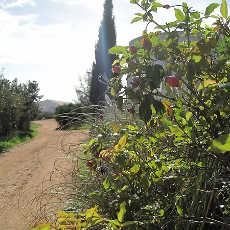 Séjour à la ferme Quinta Das Seis Marias Lagos